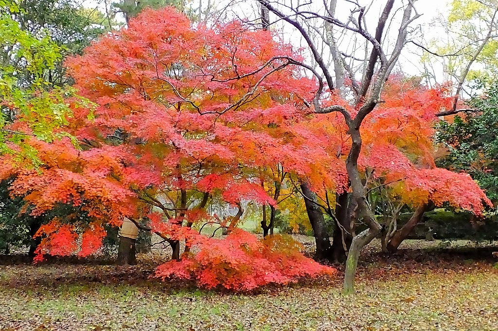 b0236251_13125176.jpg