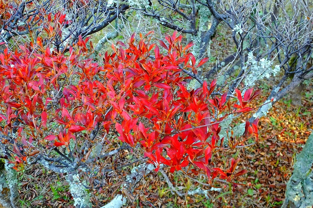 b0236251_13162177.jpg