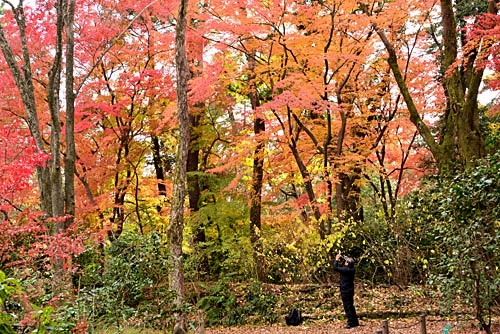 b0016557_22103650.jpg