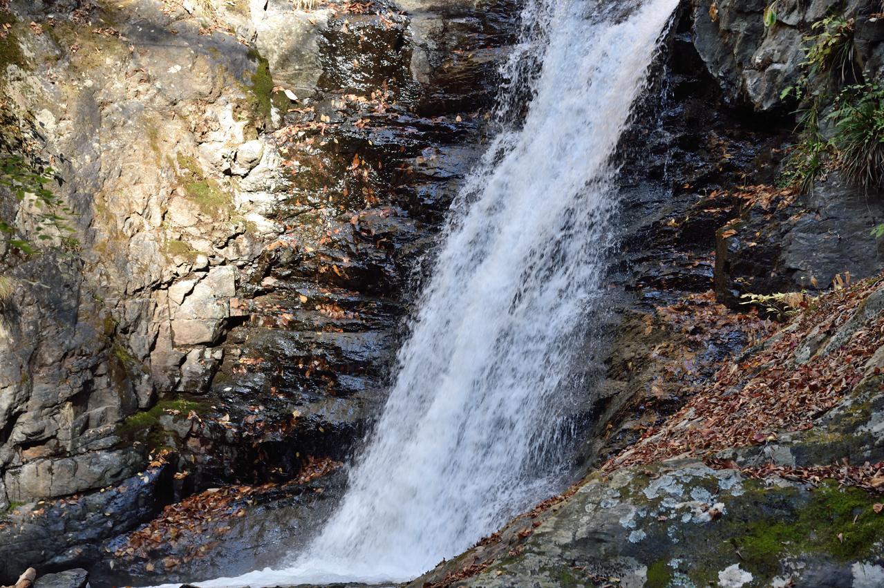c0246358_17130479.jpg