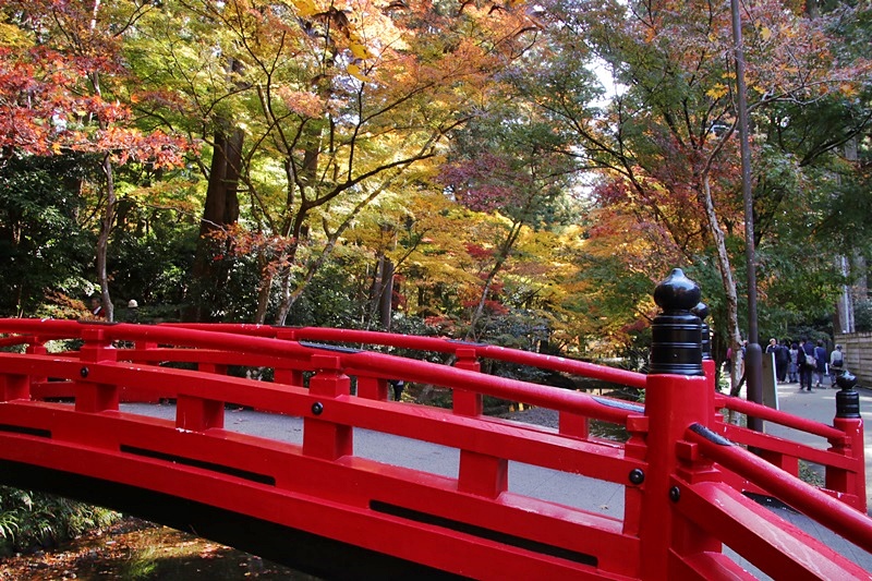 小国神社の紅葉・1♪_a0167759_11475380.jpg