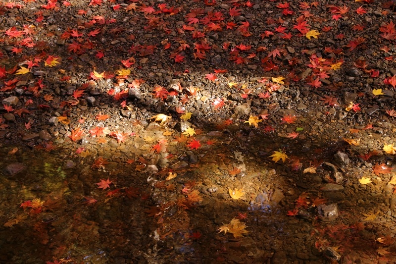 a0167759_14591228.jpg