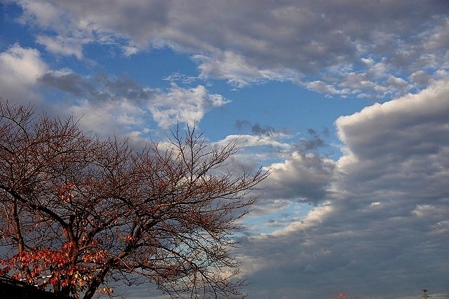 e0339960_19174451.jpg