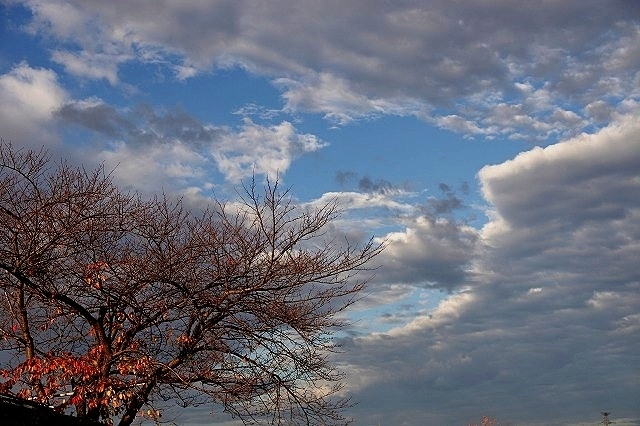 秋の空？？_e0339960_19174451.jpg