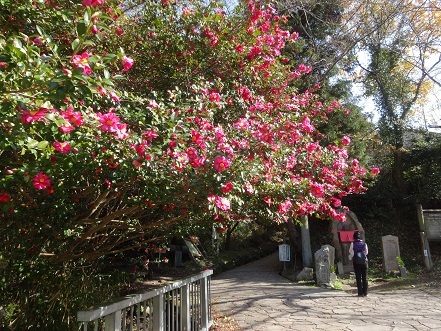 c0303868_04313510.jpg