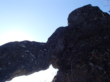 a0344771_16421244.jpg