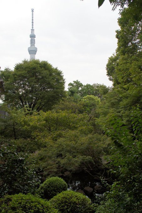紅葉、江戸双六解題あそび、流行り神情報整理、おばけ双六、浅草玩具、四谷怪談、テレビ感想をみっちり;11/29-12/4twitterまとめ_b0116271_19480469.jpg