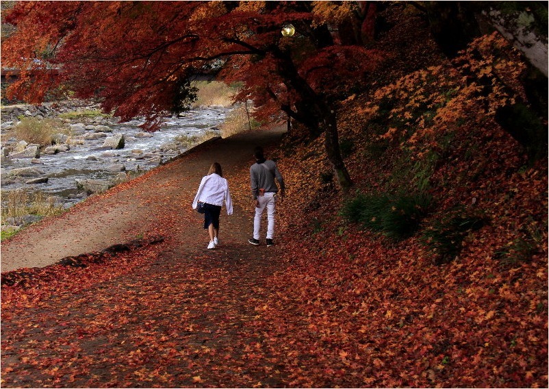 ☆　香嵐渓・名残りの紅葉　☆　_f0181173_18114963.jpg