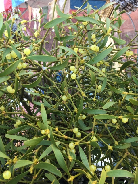 c0274374_16542850.jpeg