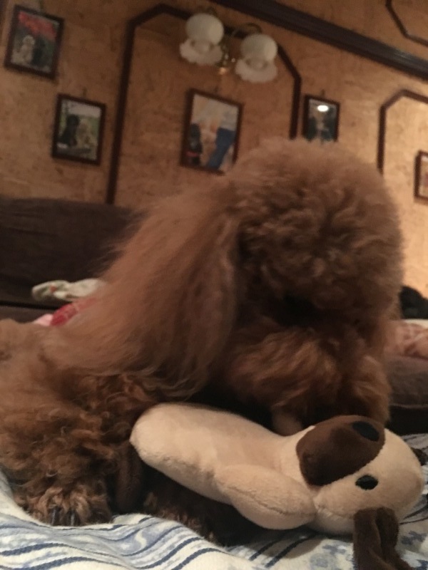 c0283778_17220013.jpeg