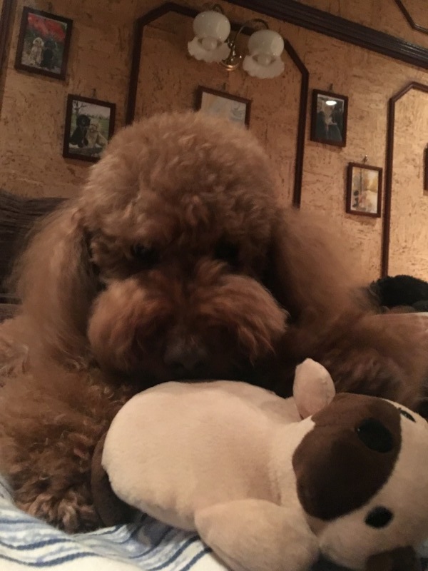 c0283778_17223248.jpeg