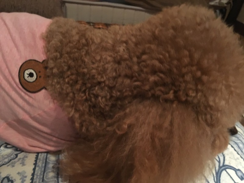 c0283778_17231735.jpeg
