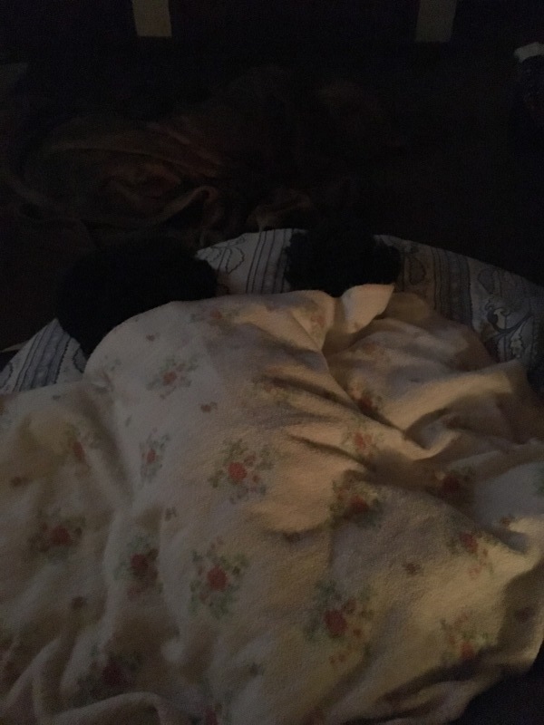 c0283778_17242673.jpeg