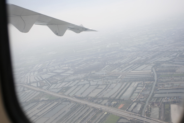 f0046982_1345396.jpg