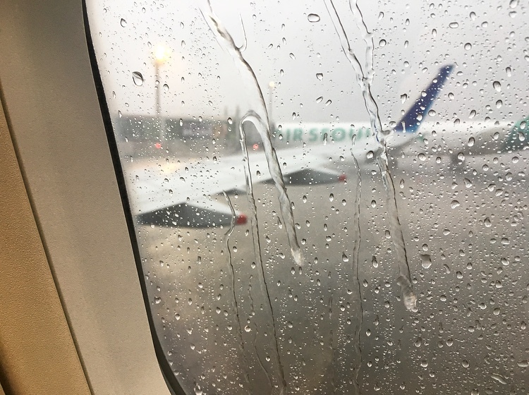e0241285_14343916.jpeg