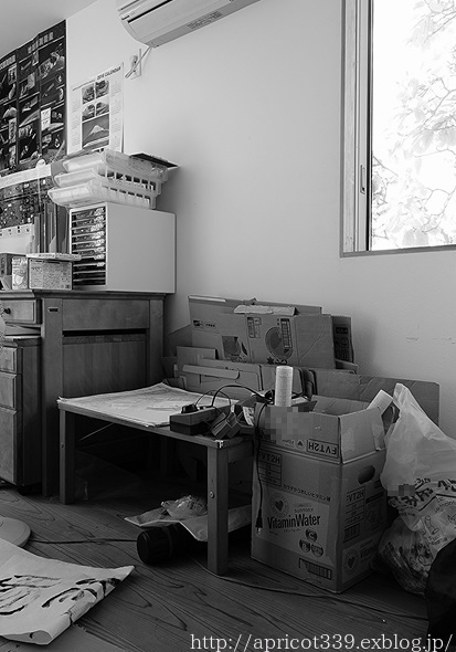 長男の部屋、本の収納の見直し BEFORE_c0293787_16323851.jpg