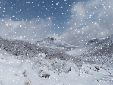 f0357487_17211402.gif