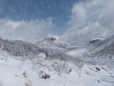 f0357487_17260096.gif