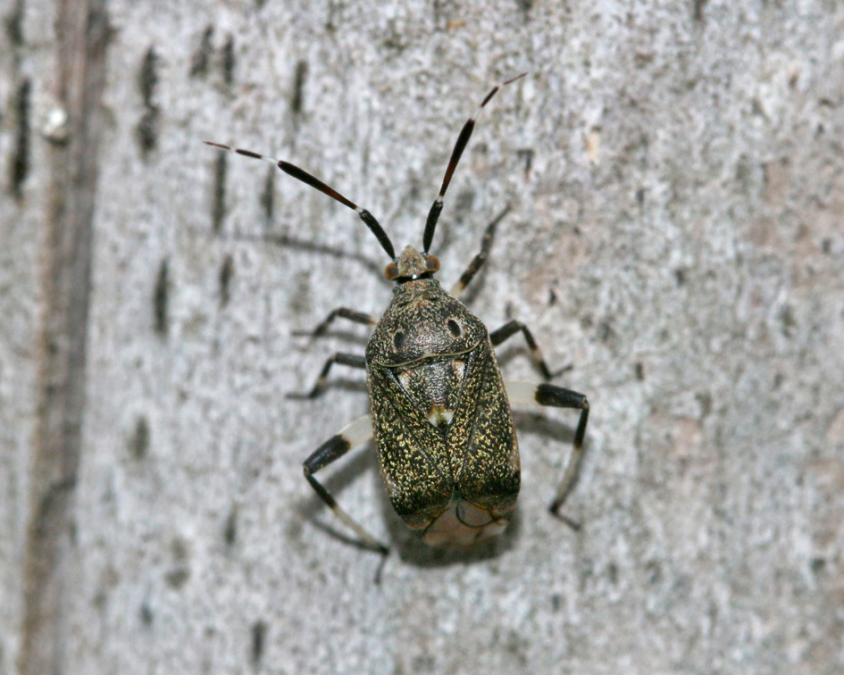 d0127488_09290320.jpg
