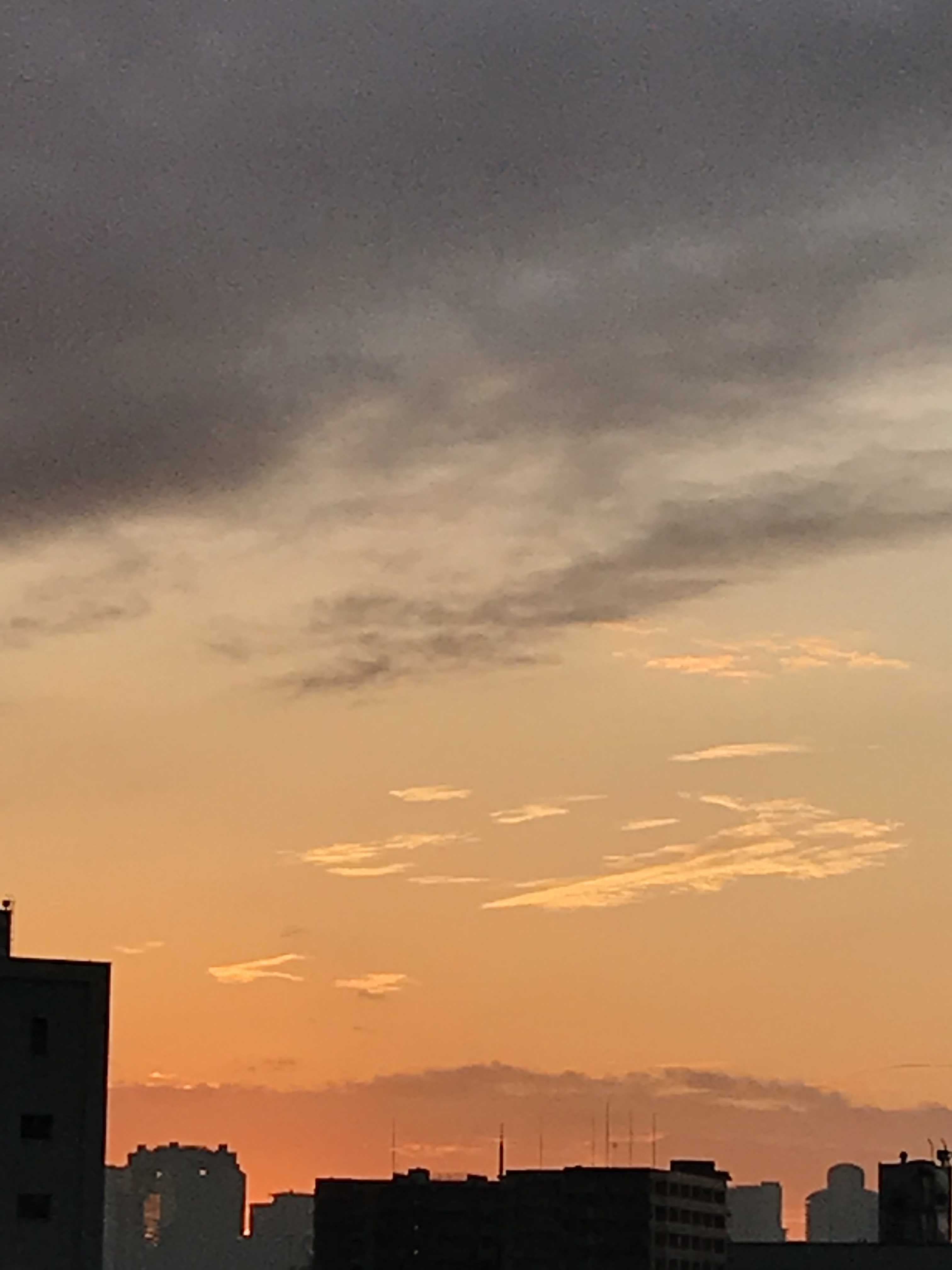 f0204295_11092507.jpg