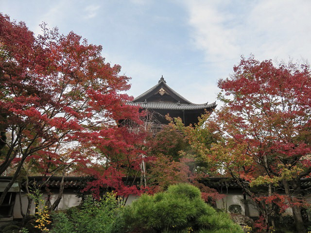 f0346196_17471069.jpg