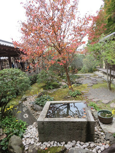 f0346196_18012987.jpg