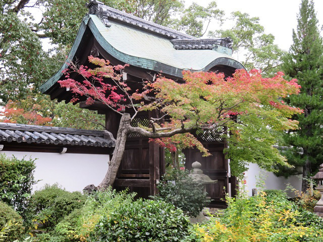 京都最後の観光地　智積院_f0346196_21430125.jpg