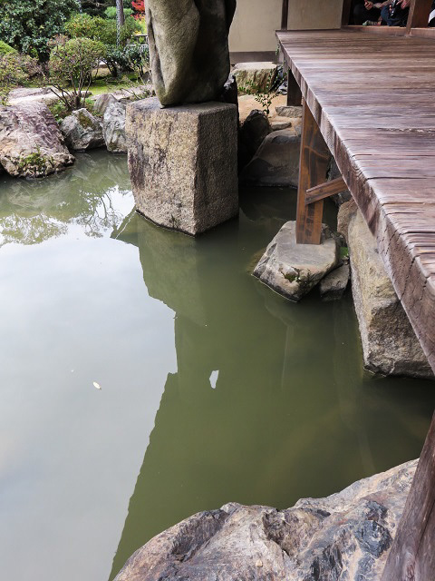 京都最後の観光地　智積院_f0346196_21483289.jpg