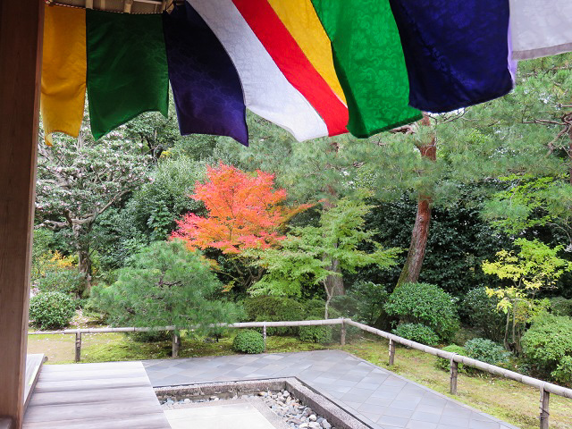 京都最後の観光地　智積院_f0346196_21514036.jpg