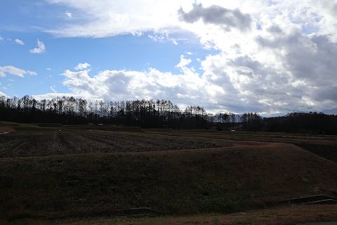 c0090198_17411351.jpg