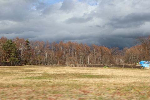 c0090198_17512075.jpg