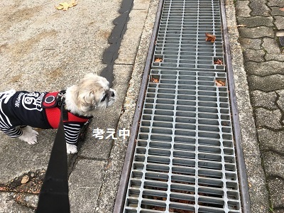 f0372998_22291645.jpg
