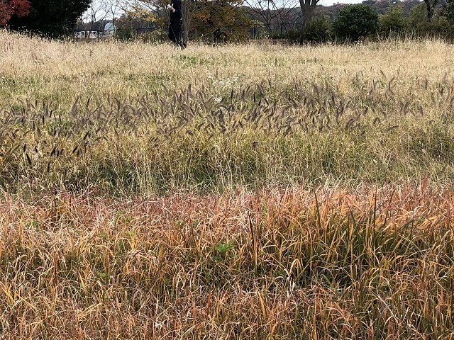 c0124100_16071740.jpg
