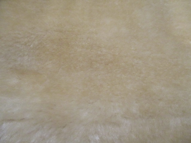 f0193303_12232831.jpg