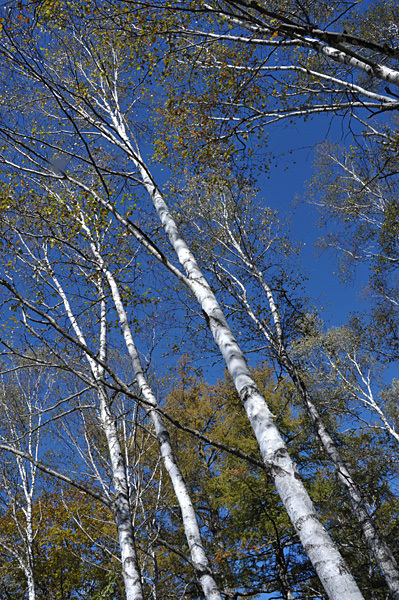 a0278809_16422704.jpg