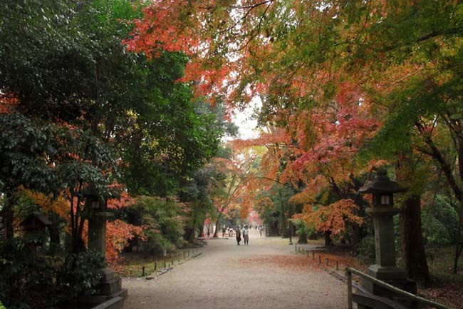 下賀茂神社と糺の森➀_e0048413_19055408.jpg