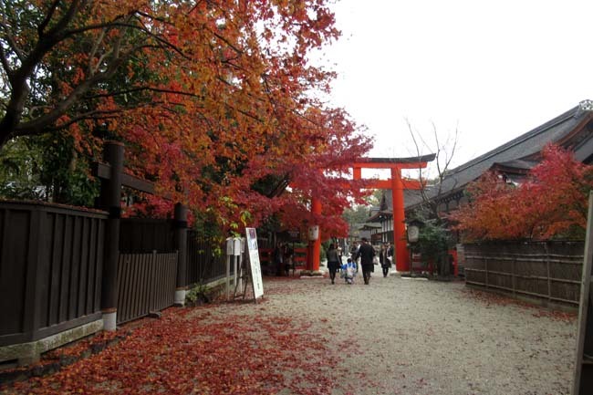 下賀茂神社と糺の森➀_e0048413_19060444.jpg