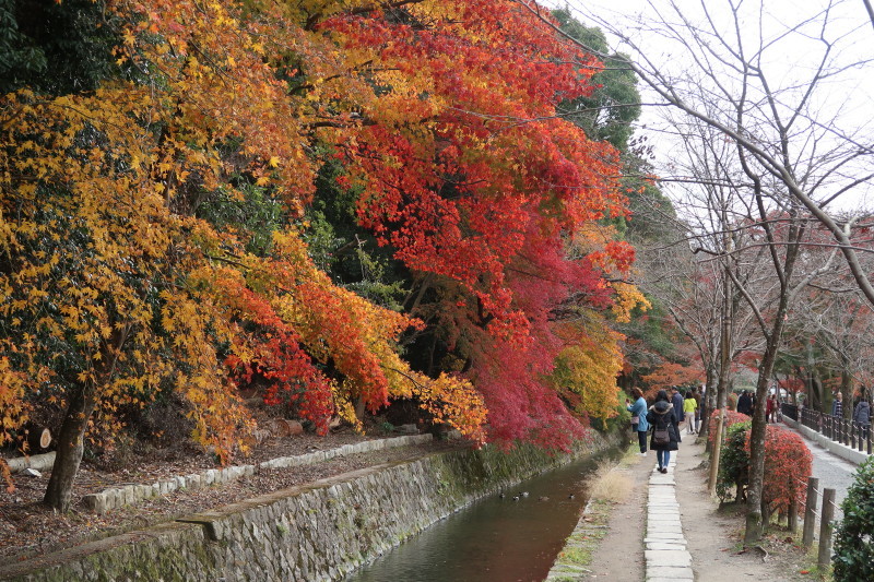 京都♪大文字山と紅葉散策 その2_d0103314_21324304.jpg