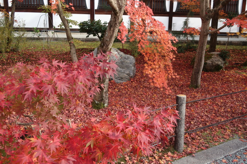 京都♪大文字山と紅葉散策 その2_d0103314_21335787.jpg