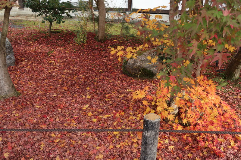 京都♪大文字山と紅葉散策 その2_d0103314_21341217.jpg