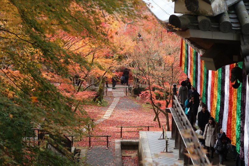 京都♪大文字山と紅葉散策 その2_d0103314_21345021.jpg