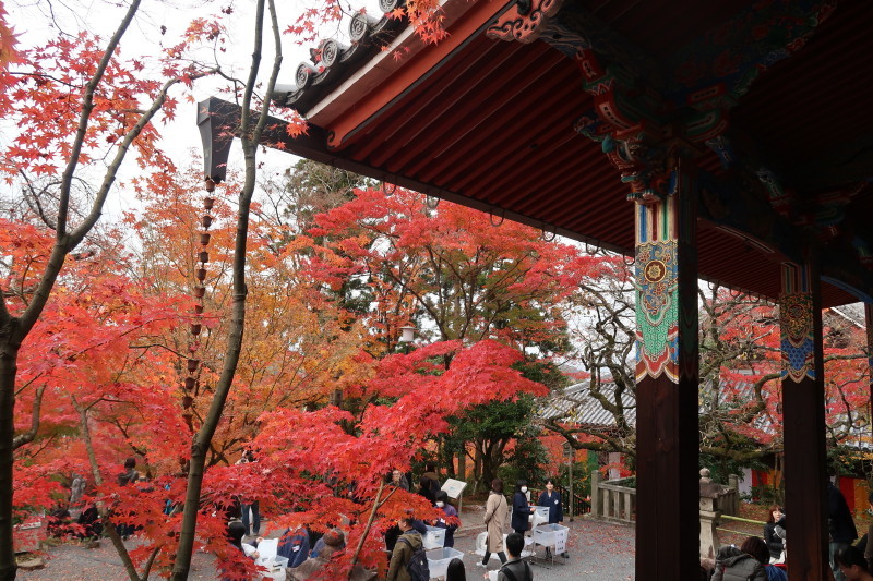 京都♪大文字山と紅葉散策 その2_d0103314_21350030.jpg