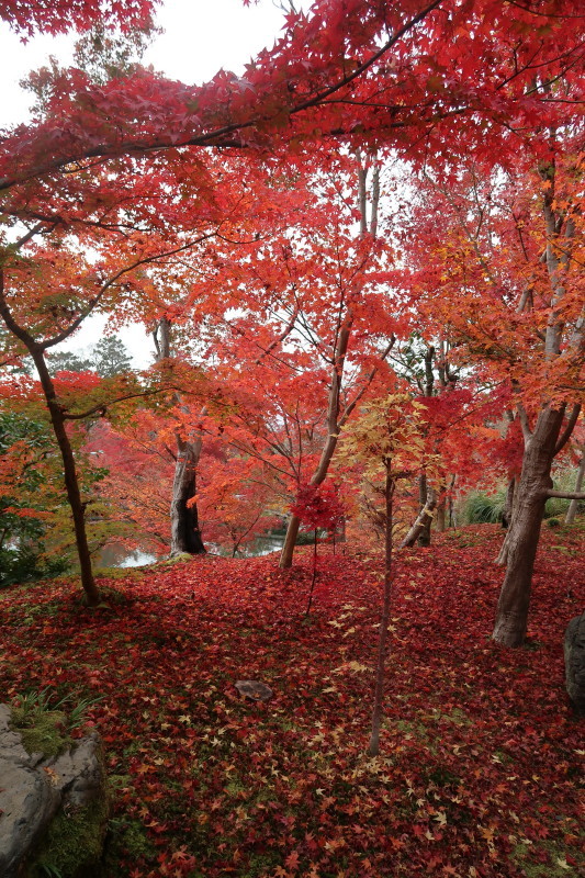 京都♪大文字山と紅葉散策 その2_d0103314_21351051.jpg