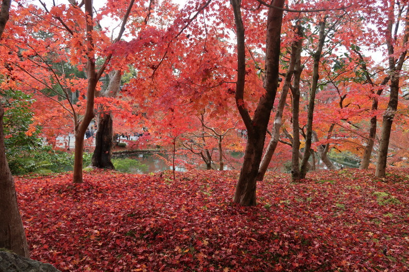 京都♪大文字山と紅葉散策 その2_d0103314_21351905.jpg