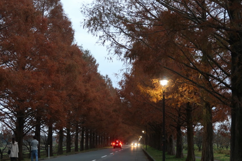 京都♪大文字山と紅葉散策 その2_d0103314_21360019.jpg