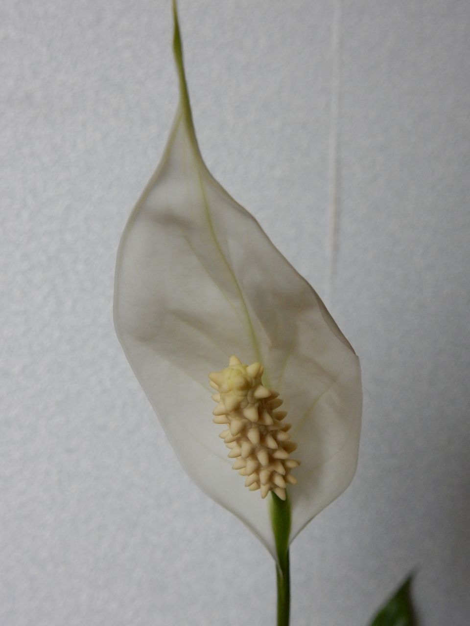 12月5日のtwitter_c0025115_23005287.jpg