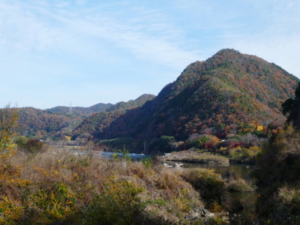 色付いた木々の寂光院境内から　継鹿尾山 (273M) に登る_d0170615_23330746.jpg