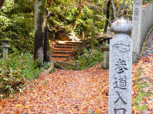 色付いた木々の寂光院境内から　継鹿尾山 (273M) に登る_d0170615_23350053.jpg