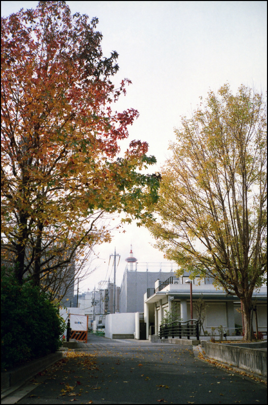 c0176622_11245656.jpg