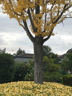 b0119525_14244097.jpg
